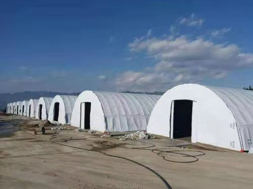 哈哈(haha)体育_十年运营 诺言无忧